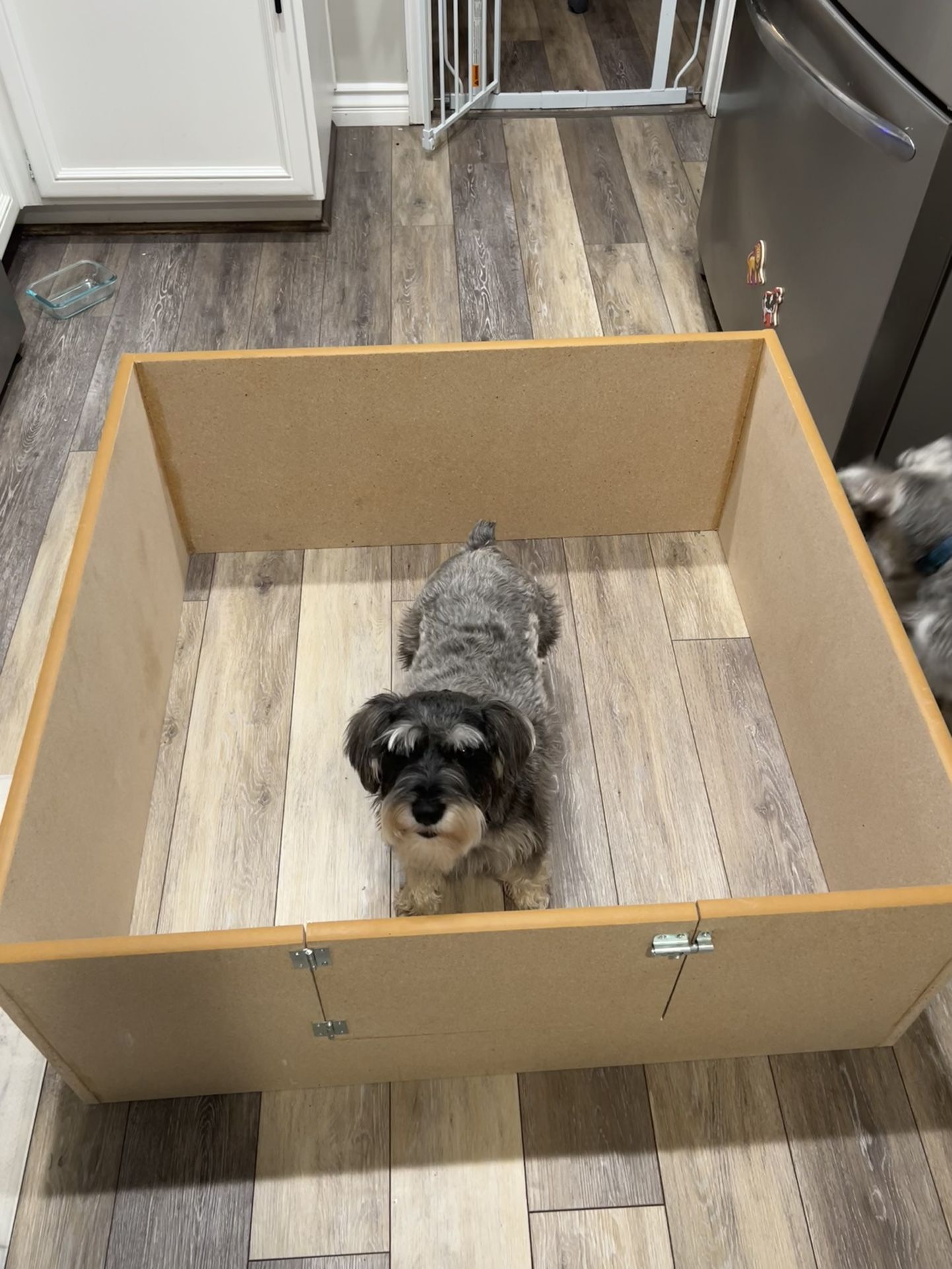 48x48 Whelping Box for Sale in Beachwood, NJ - OfferUp