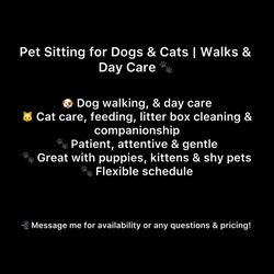 Dog & Cat Sitting