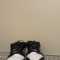 Panda Dunks