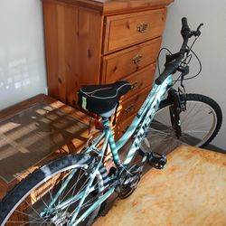 Bike Barely Used 