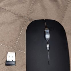 Wireless  Mouse 