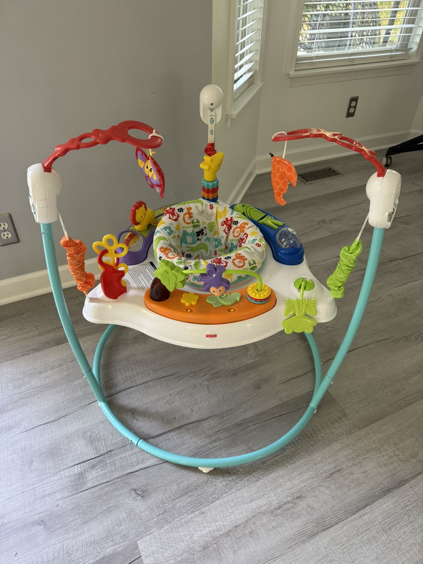 Baby activity jumper Fisher