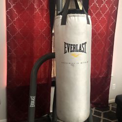Boxing Bag With Stand
