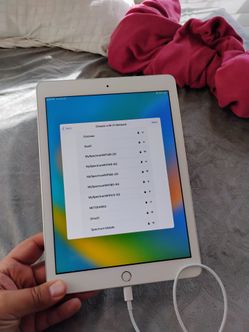 Ipad Mint Condition