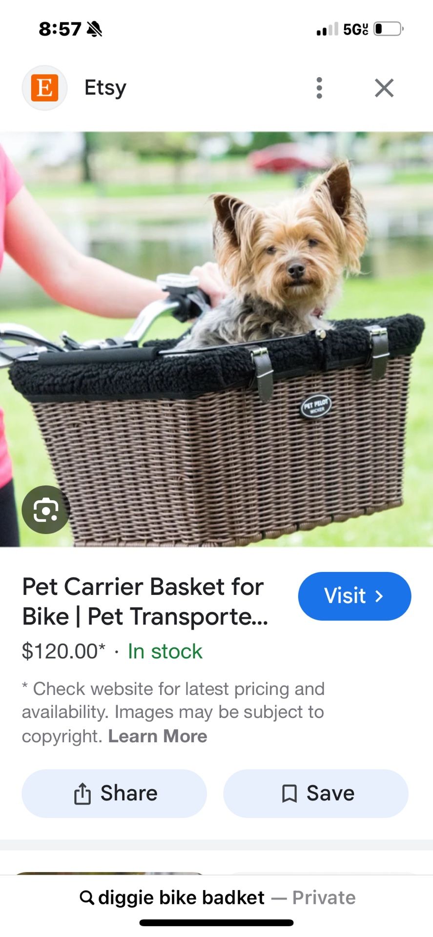 🌞Small Doggie Bike Basket 🐕