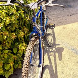 Next Parowan Bicycle 