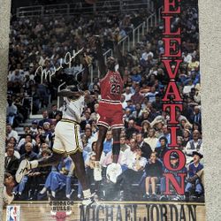 16' x 20' Michael Jordan Poster