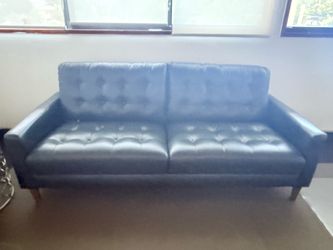 Leather Sofa/Seat
