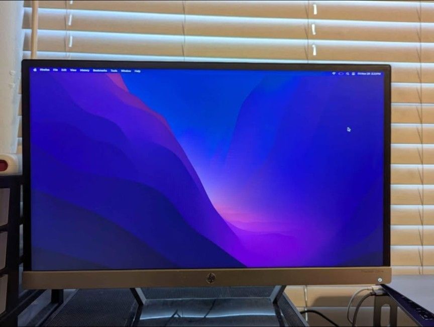 HP Pavilion 22cw
21.5 in IPS LED backlit
monitor; NO BUILT-IN
SPEAKERS