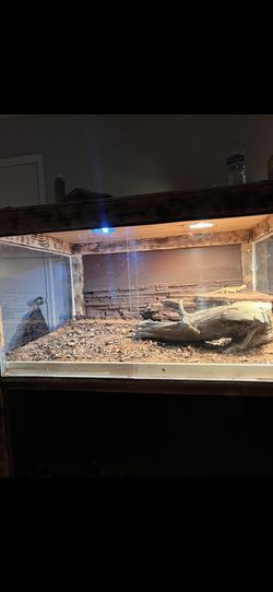 Reptile Tank
