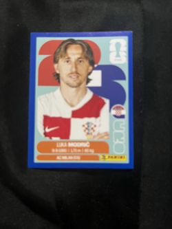 Panini sticker