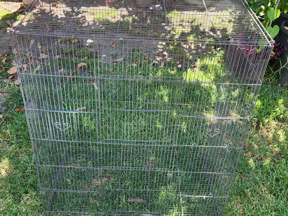 Bird Cage