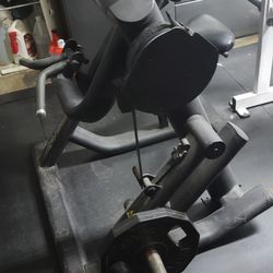 Life Fitness Plate Loaded Bicep Machine