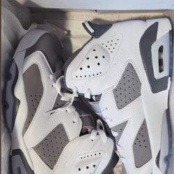 Retro 6 Cool Grey 