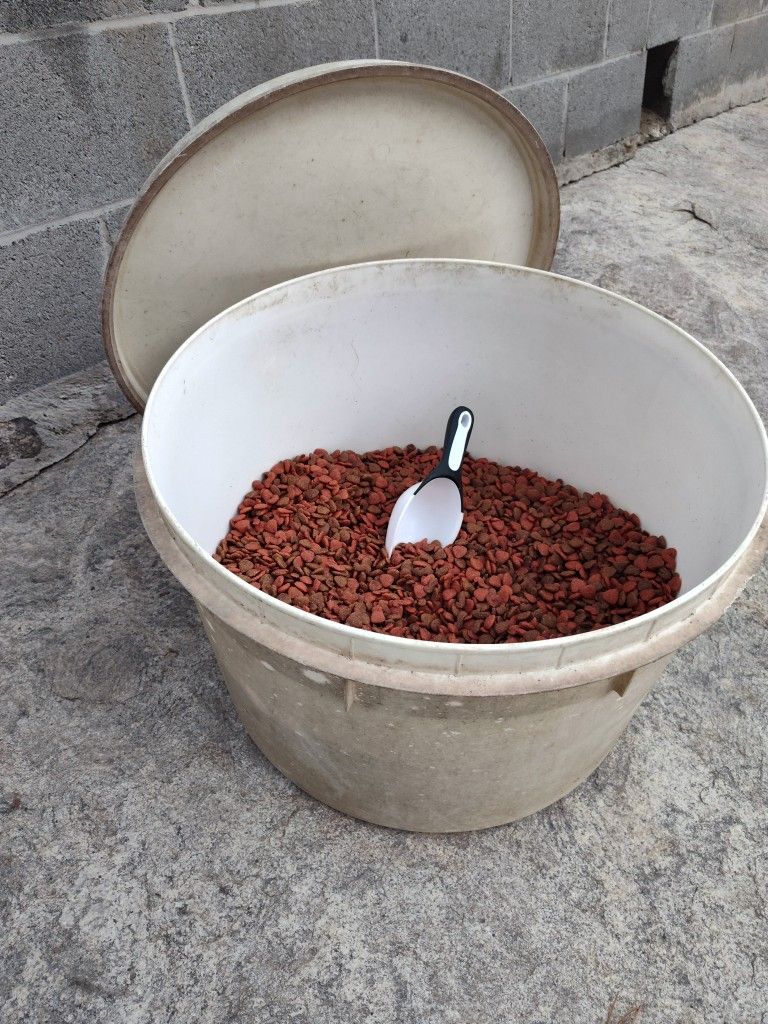 Big Container Of Dog Food