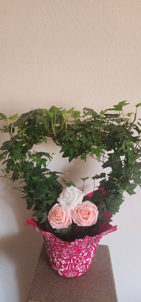 Ivy Heart Topiary Plant.