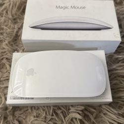Apple Mouse