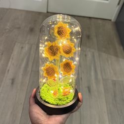 🧶Handmade Crochet Artificial Sunflower Decor Glass Dome LED 