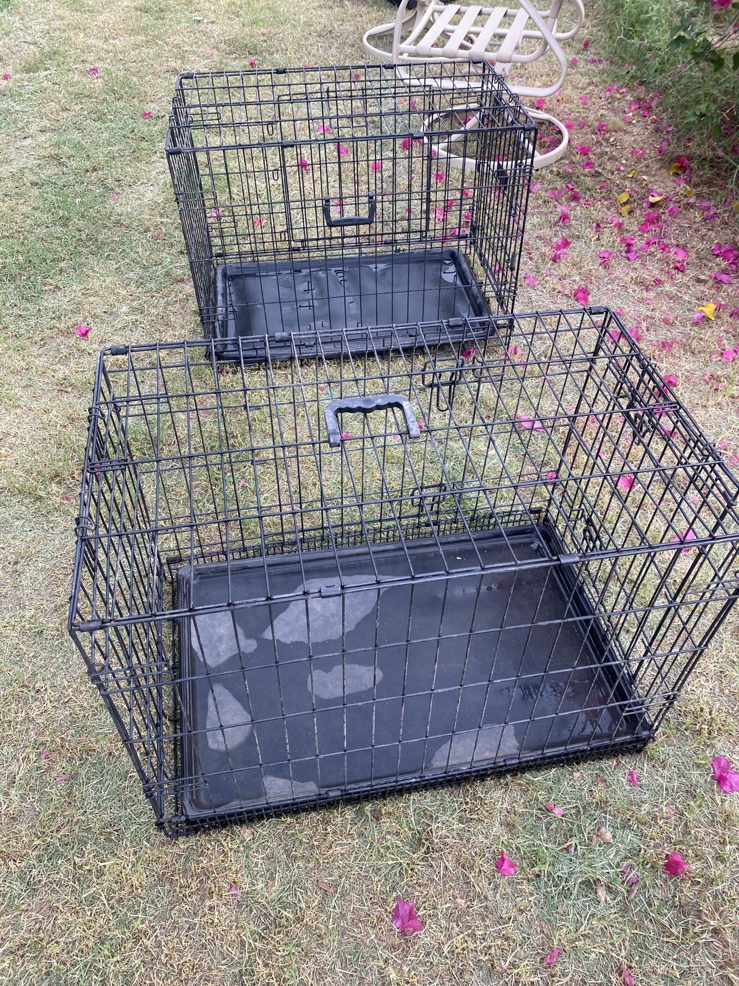Dog Kennel Medium