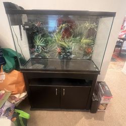 Fish Tank