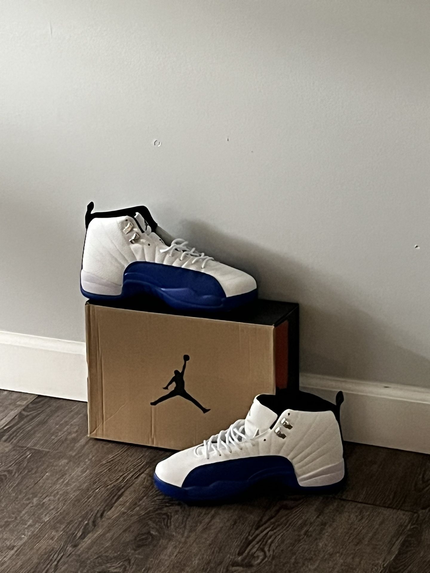 Jordan 12 Blueberry