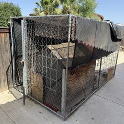 Dog Cage 