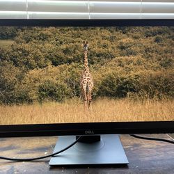 Dell 24 Inch Monitor 