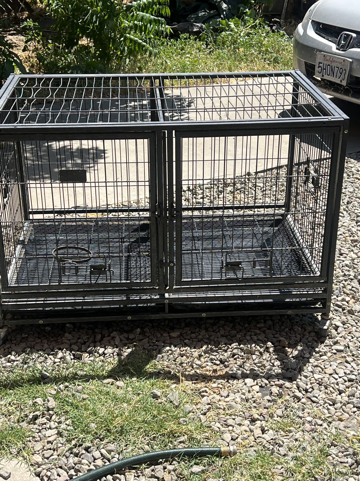 Dog Crates
