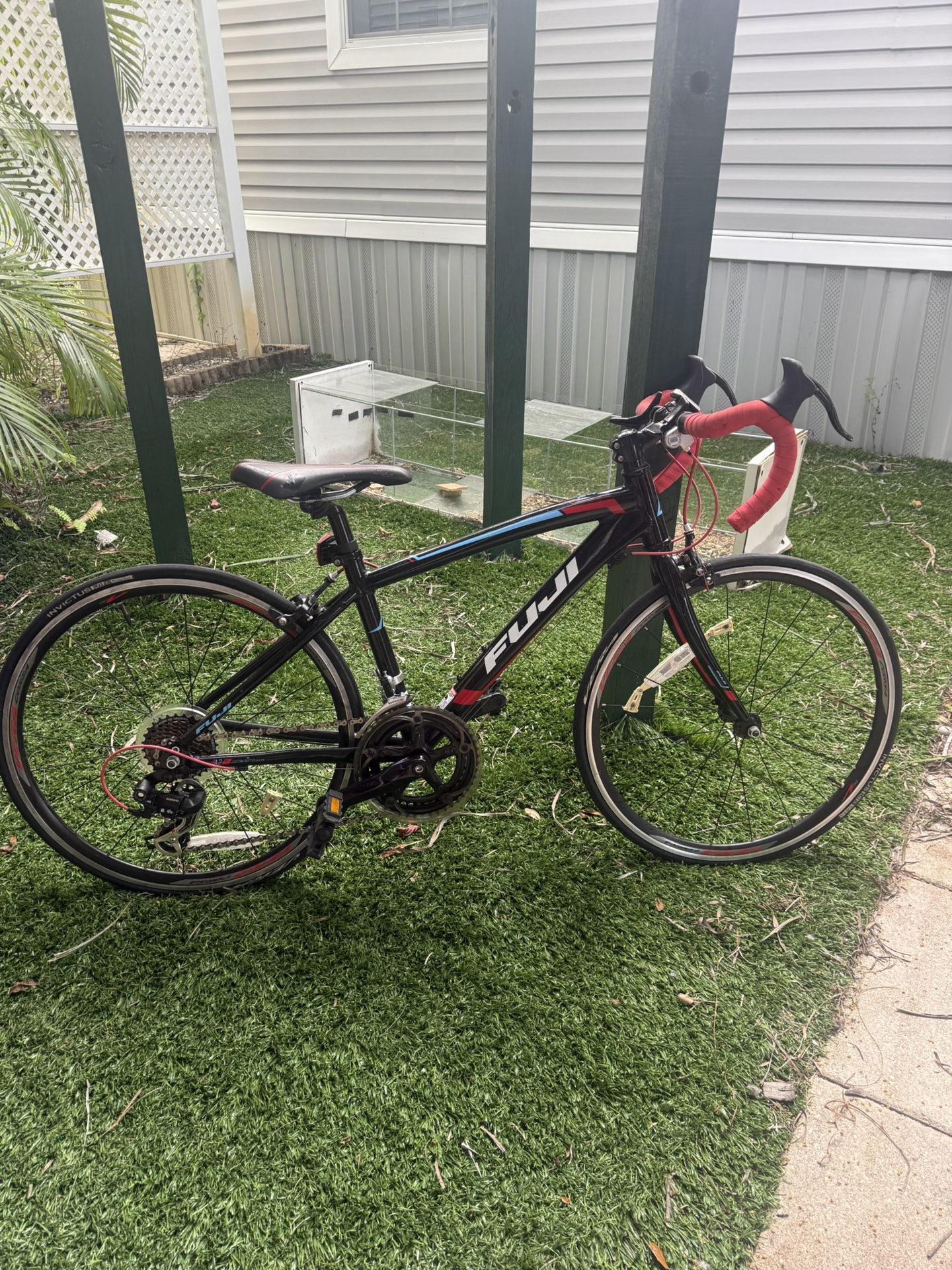 Fuji Ace Kids 24 Inch Road Bike