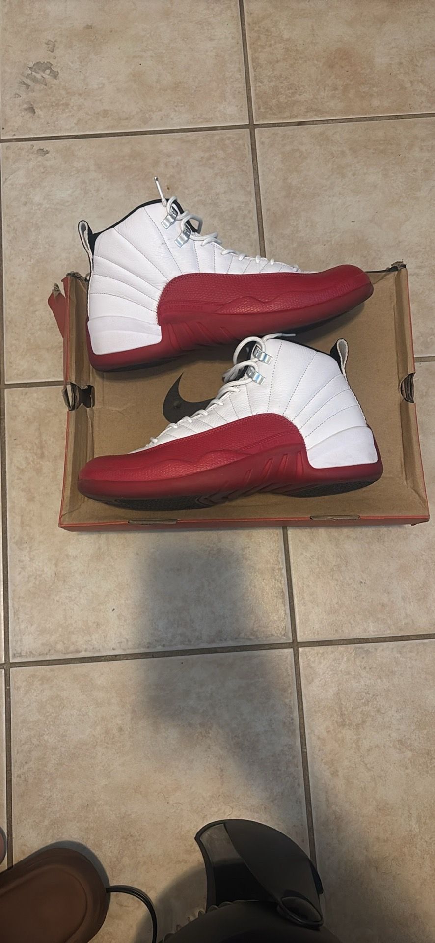 Jordan 12 cherry