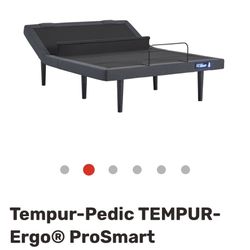 Tempur Bed Frame