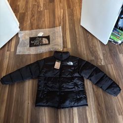 North face 700 Puffer (Mens Large)