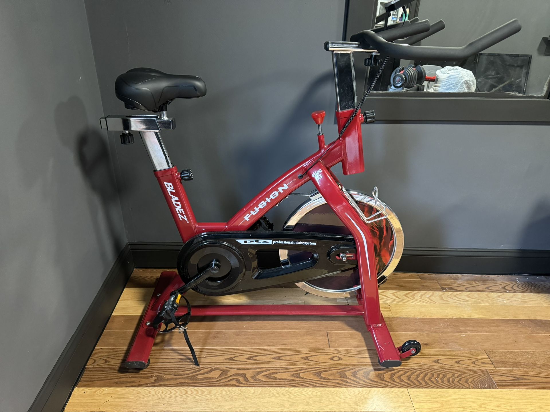 Bladez GS II Indoor Bike