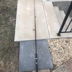 Spinning Rods 