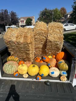 PUMKIN DELIVERY
