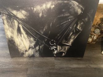 Horse fans 36” X 48” unique cavanas wall decor $120 Each