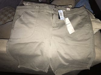 Torrid Shorts