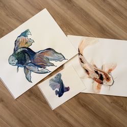 Fish Paintings