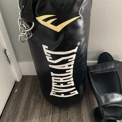 Everlast heavybag