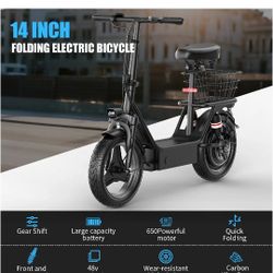 Electric Bike 