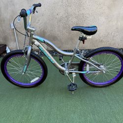 Schwinn Kids Bike 