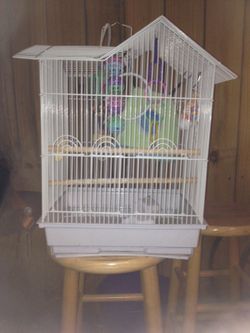 Bird cage