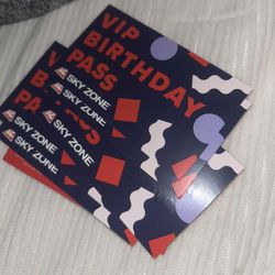 Skyzone Passes 2025 