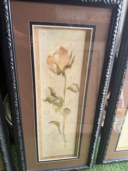 Framed Rose Botanical Art Print