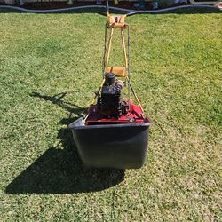 McLane. Briggs & Stratton Motor