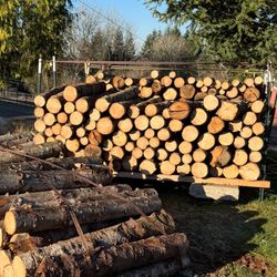 FIREWOOD 🔥 🪵 CHEAP!