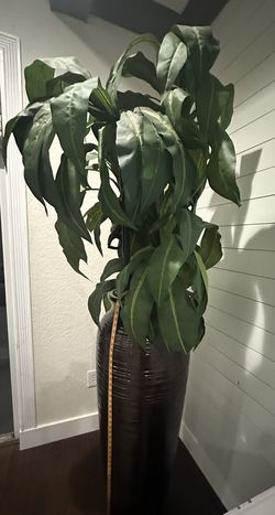 Flower Vase 48 Inches Plus Plant 