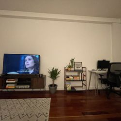 TV Unit + Roku 55 TV
