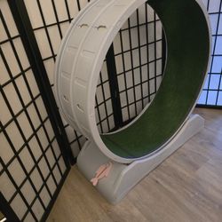 Exercise Wheel For Cats