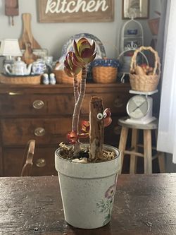 Small Live Jade Tree Style Succulent